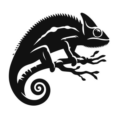 Tropikal vahşi yaşam ve renkli sürüngen doğa tasarımı için siyah dallı bukalemun silueti.