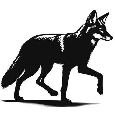 Çakal silueti doğa takibi için yürüyen siyah vektör ve savana vahşi yaşam yırtıcısı tasarımı