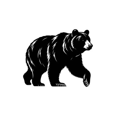 Siyah Amerikan Siyah Ayısı Görüntü Vektör İllüzyonu Vahşi Yaşam Sanat ve Tasarımları İçin Beyaz Arkaplanda İzole Edildi