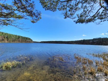 Arka planda nehir ve göl olan güzel bir manzara.