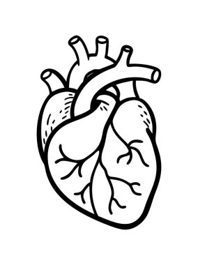Solunum sistemiyle insan akciğerleri anatomisi çizimi