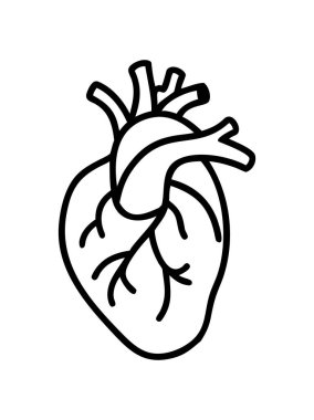 Solunum sistemiyle insan akciğerleri anatomisi çizimi