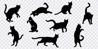 Kedi Silüetleri: Çeşitli Yürüme ve Koşan Pozisyonlar