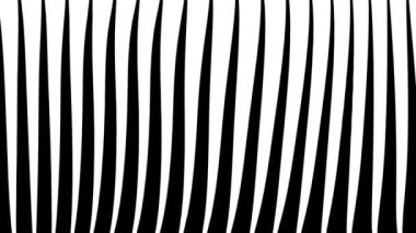 Siyah ve beyaz dalgalı çizgili desen, kusursuz döngü animasyonu, optik yanılsama ve modern tasarım için mükemmel..