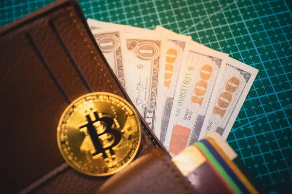 Amerikan doları ve kredi kartlarıyla kahverengi deri cüzdan içinde altın Bitcoin, kripto para ve geleneksel finansal sistemlerin birleşimini gösteriyor, fintech temaları için mükemmel..