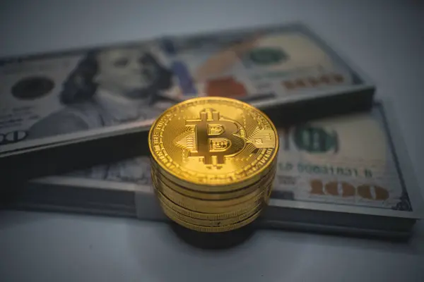 Arka planda Amerikan doları banknotları olan altın Bitcoin paraları, kripto para ve geleneksel finans arasındaki artan bağlantıyı sembolize ediyor..