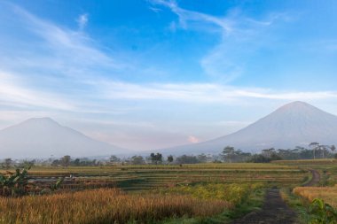 İkiz dağlar ve sisli tarlalar sabahın erken saatlerinde sakin ve manzaralı bir atmosfer yaratıyor.
