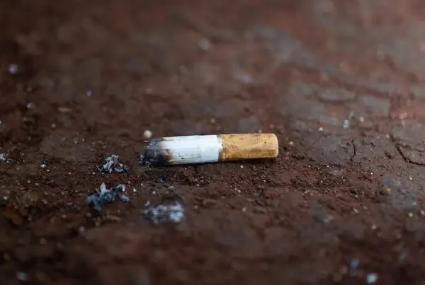 Single cigarette butt left on soil surface, highlighting pollution and environmental harm.