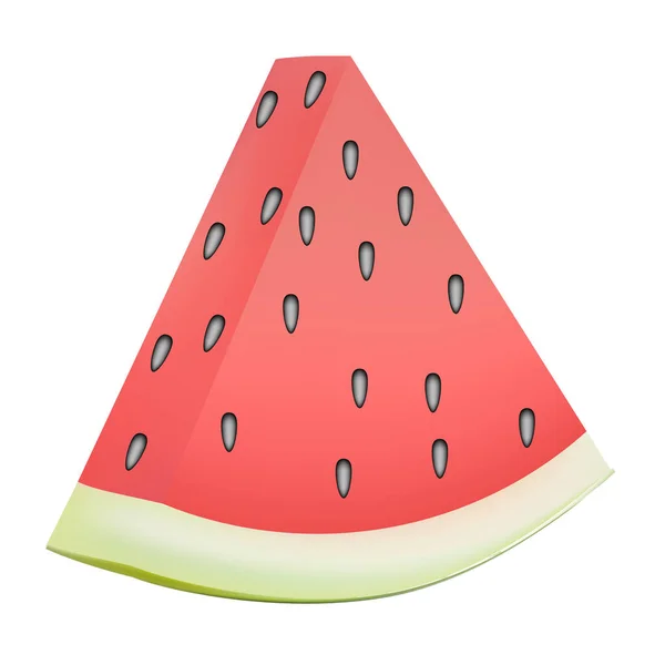 Realistische Transparente Isolierte Vektor Ganze Und Scheibe Wassermelone Wassermelone Einem — Stockvektor