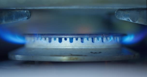Газовая Плита Пламя Газовая Плита Газовая Энергия Стоимость Жизни Энергетический — стоковое видео