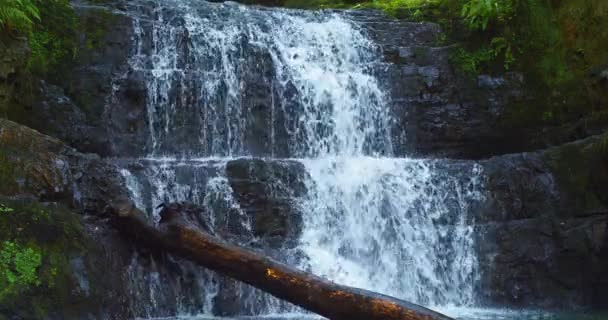 Водопад Лесу Числе Кадров Числе Замедленной Съемки Кадров Секунду — стоковое видео