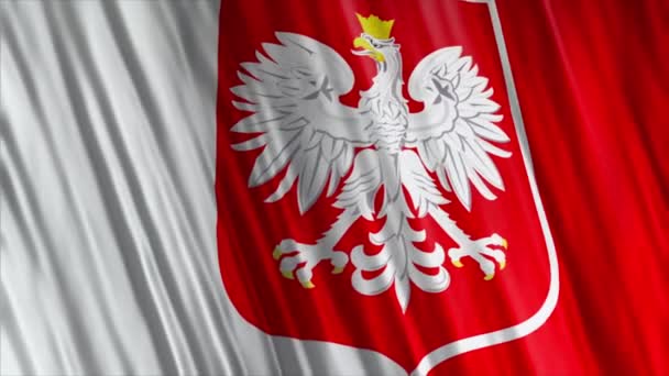 Πολωνική Εθνική Σημαία Στεφανωμένο Αετό Βίντεο Ρεαλιστικό Animation 25Fps — Αρχείο Βίντεο