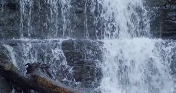 Cascada Cerca Modo Cámara Lenta 60Fps Video Bits — Vídeo de stock