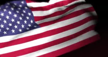 ABD FLAG (124; Genel Merkez DYNAMIC REALİSTİK Taşıma YÖNETMENİ - 124; 4K