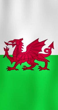 Wales National Flag Waving in The Wind 124; 4k dikey video the Realistik animasyon