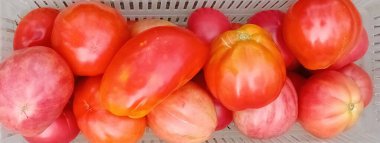 Sepette taze kırmızı domates var. Yakın çekim.