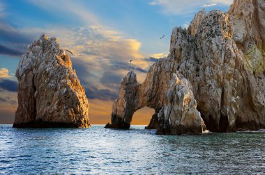 Seagulls in front of El Arco Arch of Cabo San Lucas at Sunset clipart