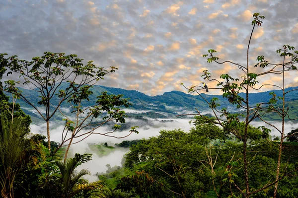 日落时分哥斯达黎加雨林和丛林景观的山地景观 — 图库照片
