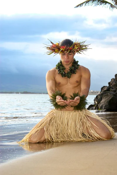 Handsome Male Hula Dancer on the beach at sunset in traditional costume grass  skirt. 14685735 Stock Photo at Vecteezy