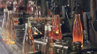 Cam şişe üretimi. Bir üretim tesisinde kırmızı sıcak cam şişeler