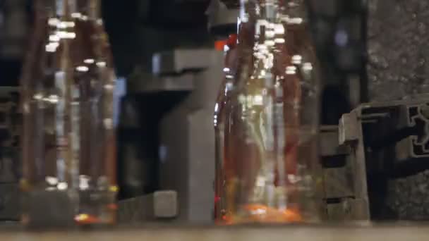 Produktion Glasflaskor Röda Glasflaskor Produktionsanläggning — Stockvideo