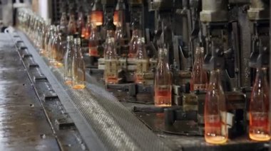 Cam şişe üretimi. Bir üretim tesisinde kırmızı sıcak cam şişeler