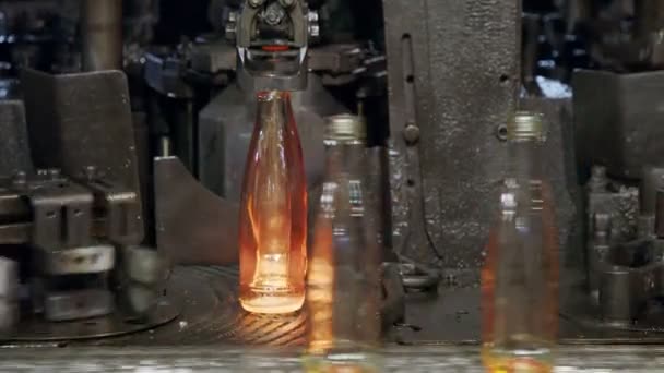 Produkcja Szklanych Butelek Czerwone Gorące Butelki Szklane Zakładzie Produkcyjnym — Wideo stockowe