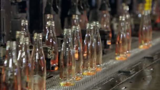 Produktion Von Glasflaschen Rote Wärmflaschen Einer Produktionsstätte — Stockvideo