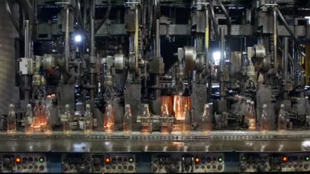 Cam Şişe Üretimi Bir Üretim Tesisinde Kırmızı Sıcak Cam Şişeler — Stok video
