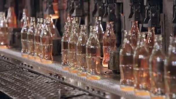Produktion Glasflaskor Röda Glasflaskor Produktionsanläggning — Stockvideo