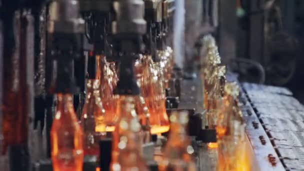 玻璃瓶生产 生产设施中的热玻璃瓶 — 图库视频影像