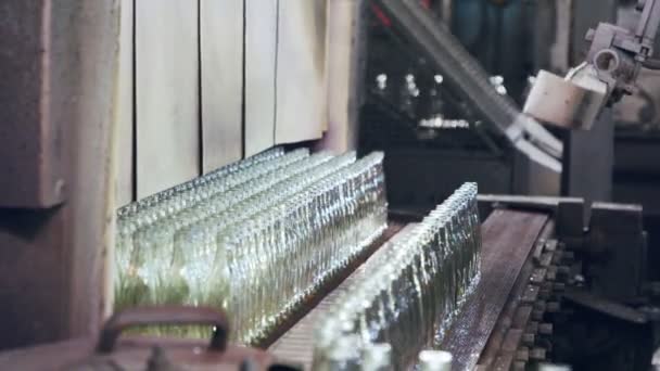 Produktion Glasflaskor Varmglasflaskor Produktionsanläggning — Stockvideo