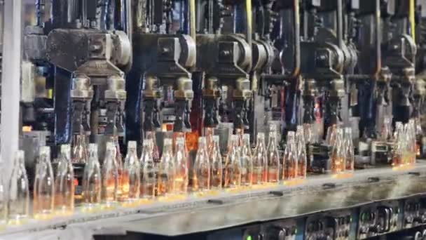 Producción Botellas Vidrio Botellas Vidrio Caliente Una Planta Producción — Vídeos de Stock