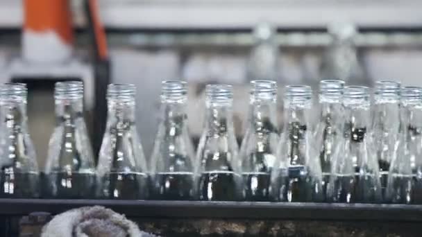 Produkcja Szklanych Butelek Butelki Gorącego Szkła Zakładzie Produkcyjnym — Wideo stockowe
