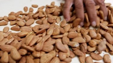 Endüstriyel gıda işleme tesisinde taşıma bandındaki badem.