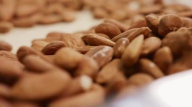 Endüstriyel gıda işleme tesisinde taşıma bandındaki badem.