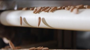 Endüstriyel gıda işleme tesisinde taşıma bandındaki badem.