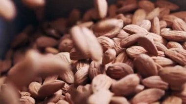 Endüstriyel gıda işleme tesisinde taşıma bandındaki badem.