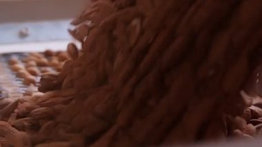 Endüstriyel gıda işleme tesisinde taşıma bandındaki badem.