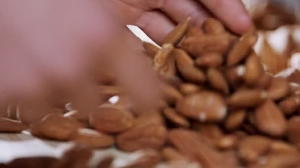 工业食品加工厂输送带上的杏仁 — 图库视频影像