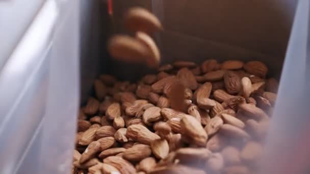 工业食品加工厂输送带上的杏仁 — 图库视频影像