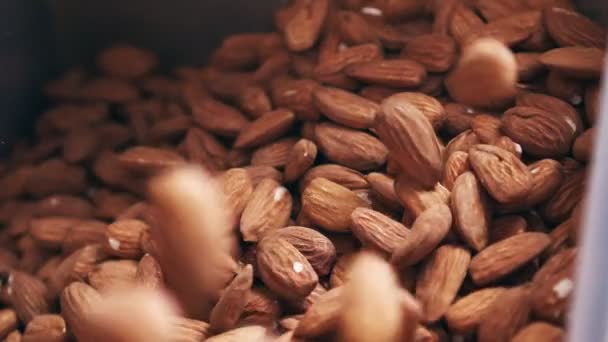 Almond Pada Ban Berjalan Sebuah Fasilitas Pengolahan Makanan Industri — Stok Video