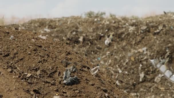 Sito Produzione Compost Induttivo Macchine Vagliatura Pali Compost Trattori Carico — Video Stock