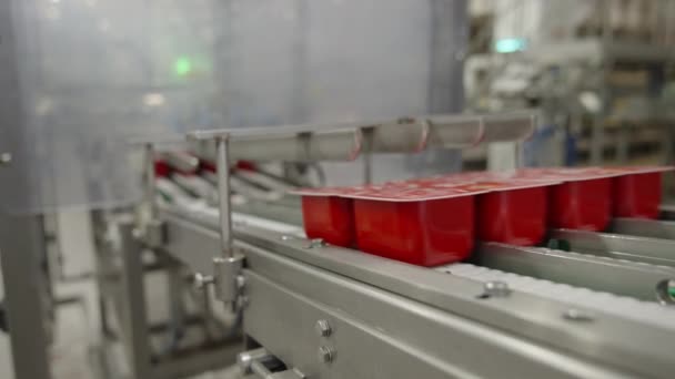 缶詰工場にトマトの箱が集中する — ストック動画
