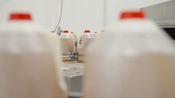 生产设施中的一大加仑醋 — 图库视频影像