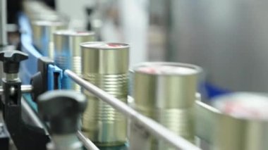 Konserve gıda üretim tesisinde hızlı bir taşıyıcı banttaki domates sosu kutuları.
