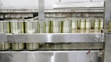 Konserve gıda üretim tesisinde hızlı bir taşıyıcı banttaki domates sosu kutuları.