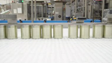 Bir konserve gıda üretim tesisinde konvoy kuşağında yeşil bezelyeler.