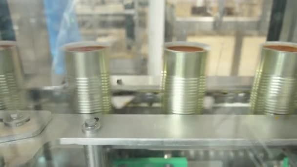 缶詰工場の高速コンベアベルトにトマトソース缶 — ストック動画