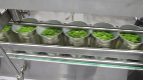 Bir Konserve Gıda Üretim Tesisinde Konvoy Kuşağında Yeşil Bezelyeler — Stok video
